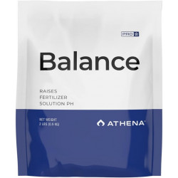 Athena Pro Balance 4.5 кг