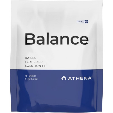 Athena Pro Balance 4.5 кг